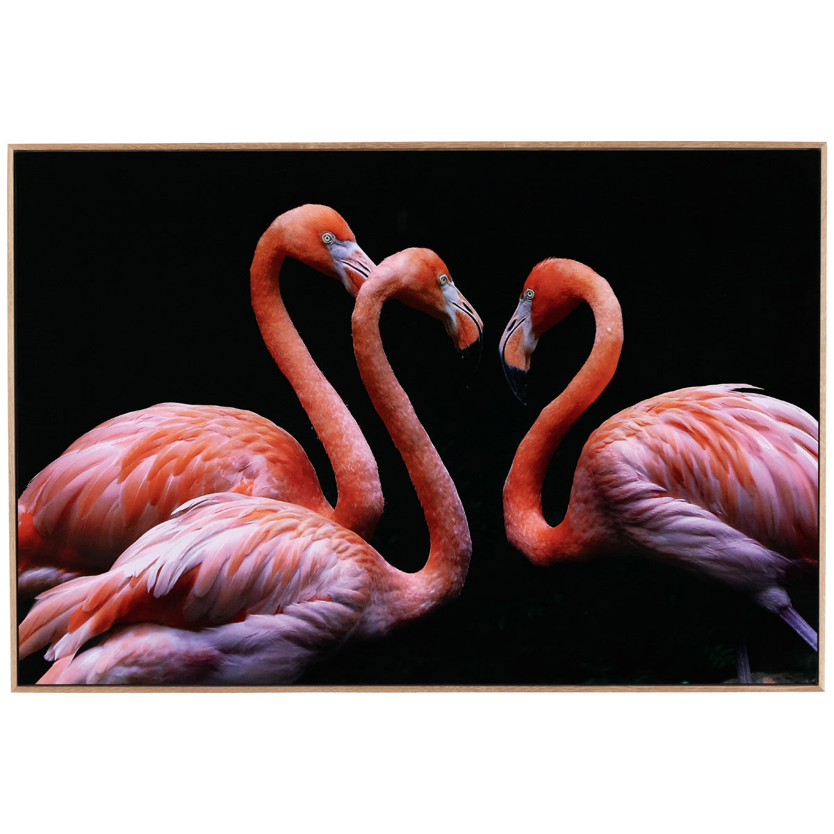 Four Hands Art Studio Trois flamants roses par Getty Images