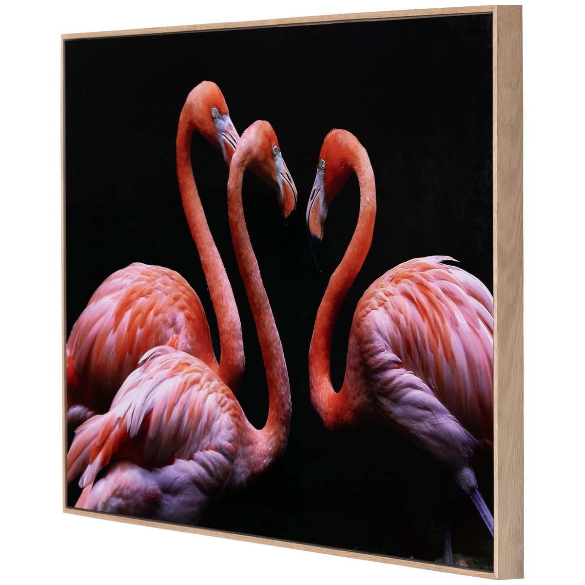 Four Hands Art Studio Trois flamants roses par Getty Images
