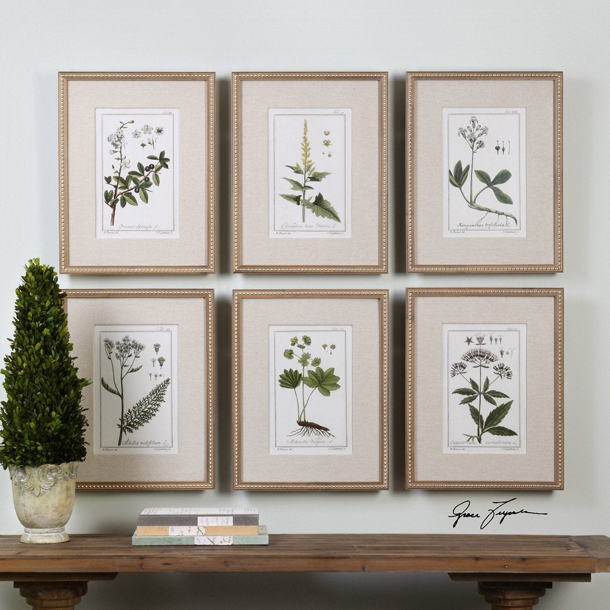 Ensemble de 6 impressions botaniques florales vertes les plus pures