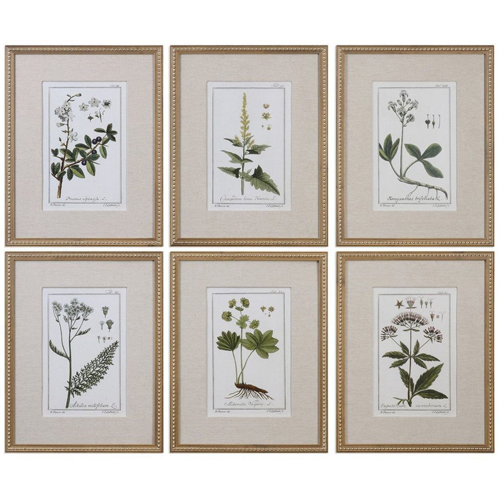Ensemble de 6 impressions botaniques florales vertes les plus pures