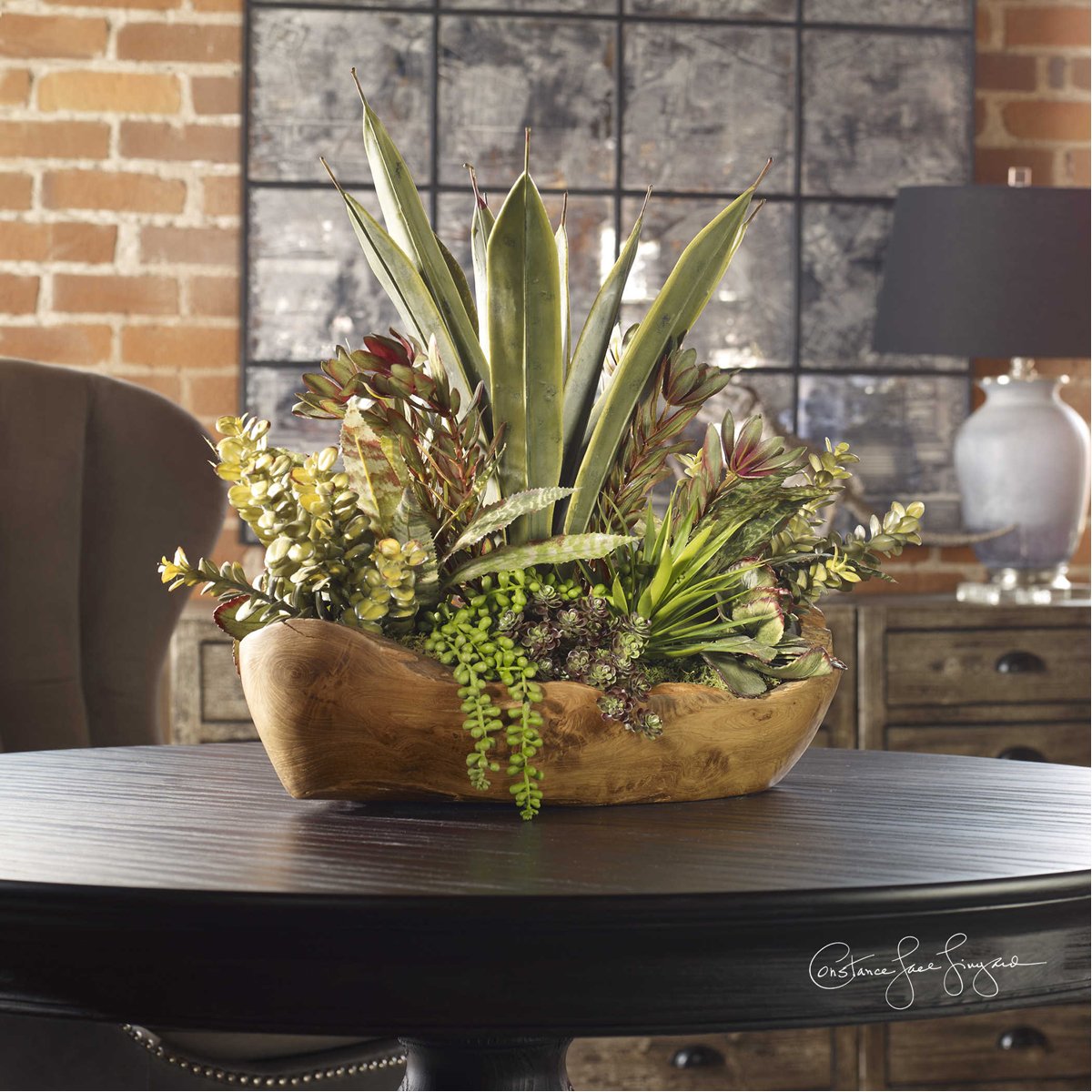 Plantes succulentes Salar dans un bol en teck