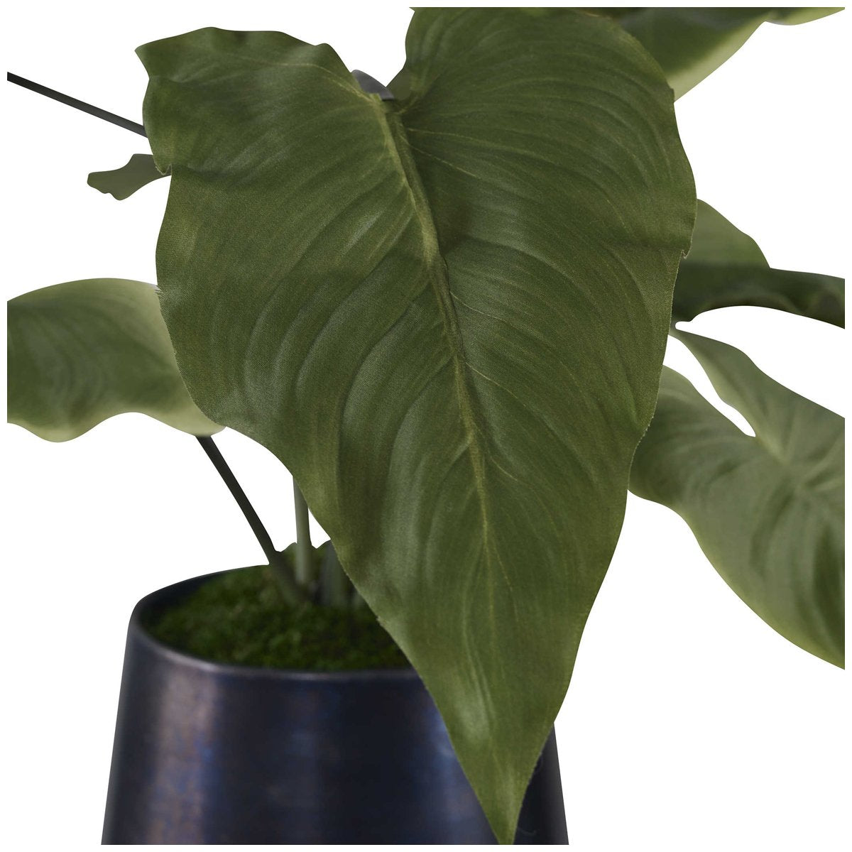 Plante d'accentuation Mari Calla de toute beauté