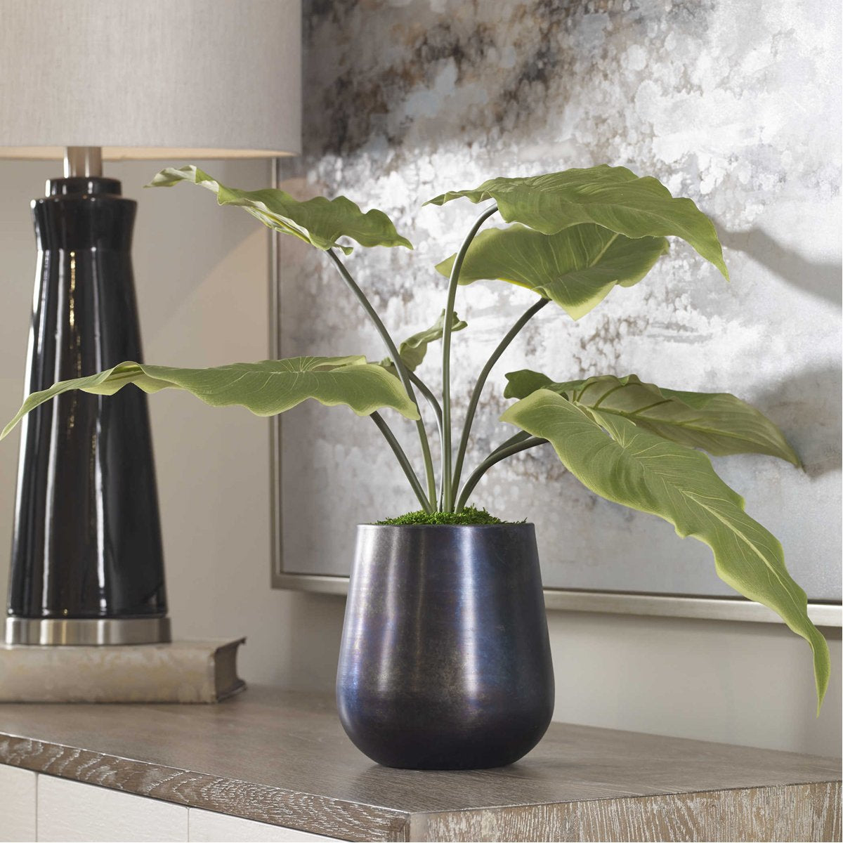 Plante d'accentuation Mari Calla de toute beauté