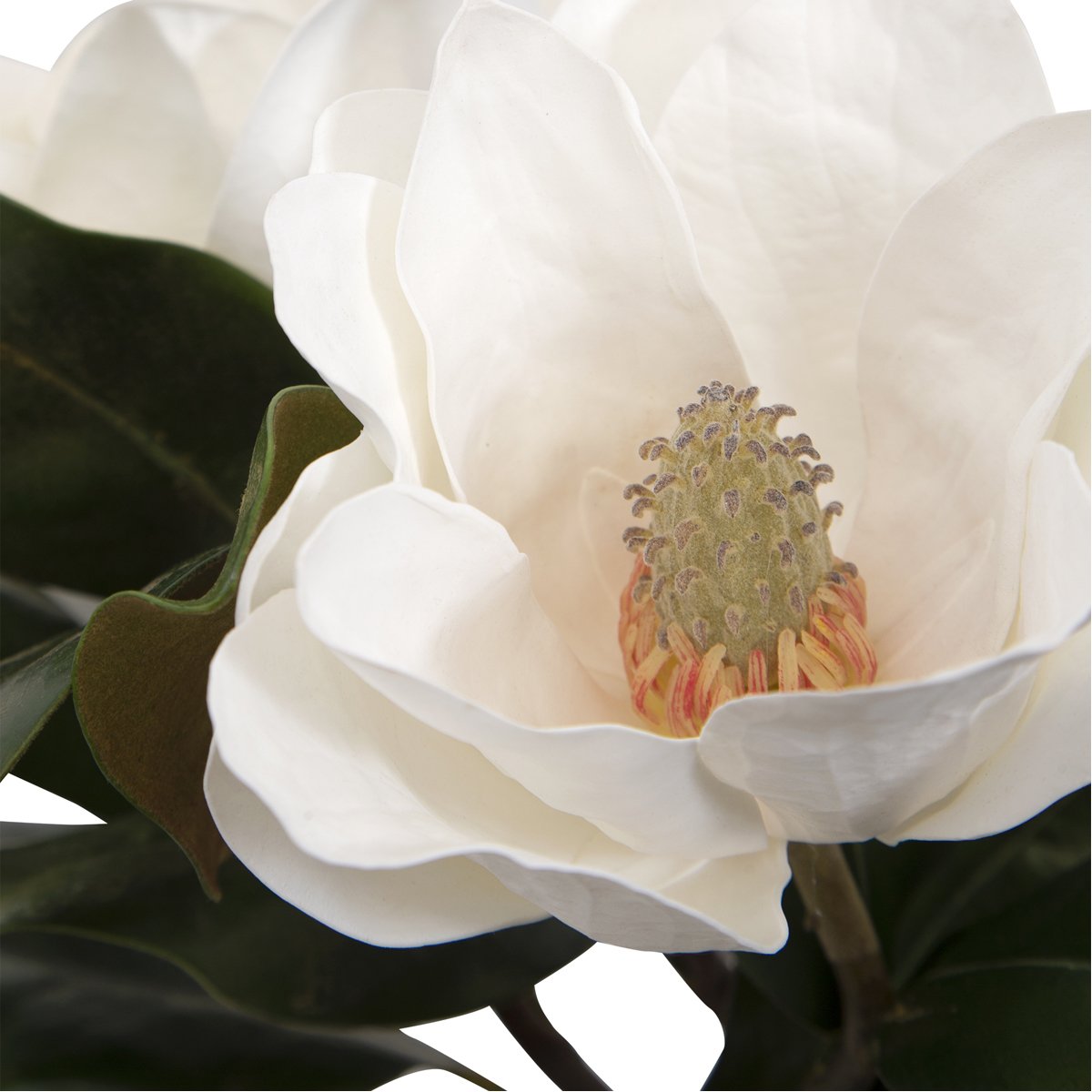 Centre de table en fleurs de magnolia de Middleton