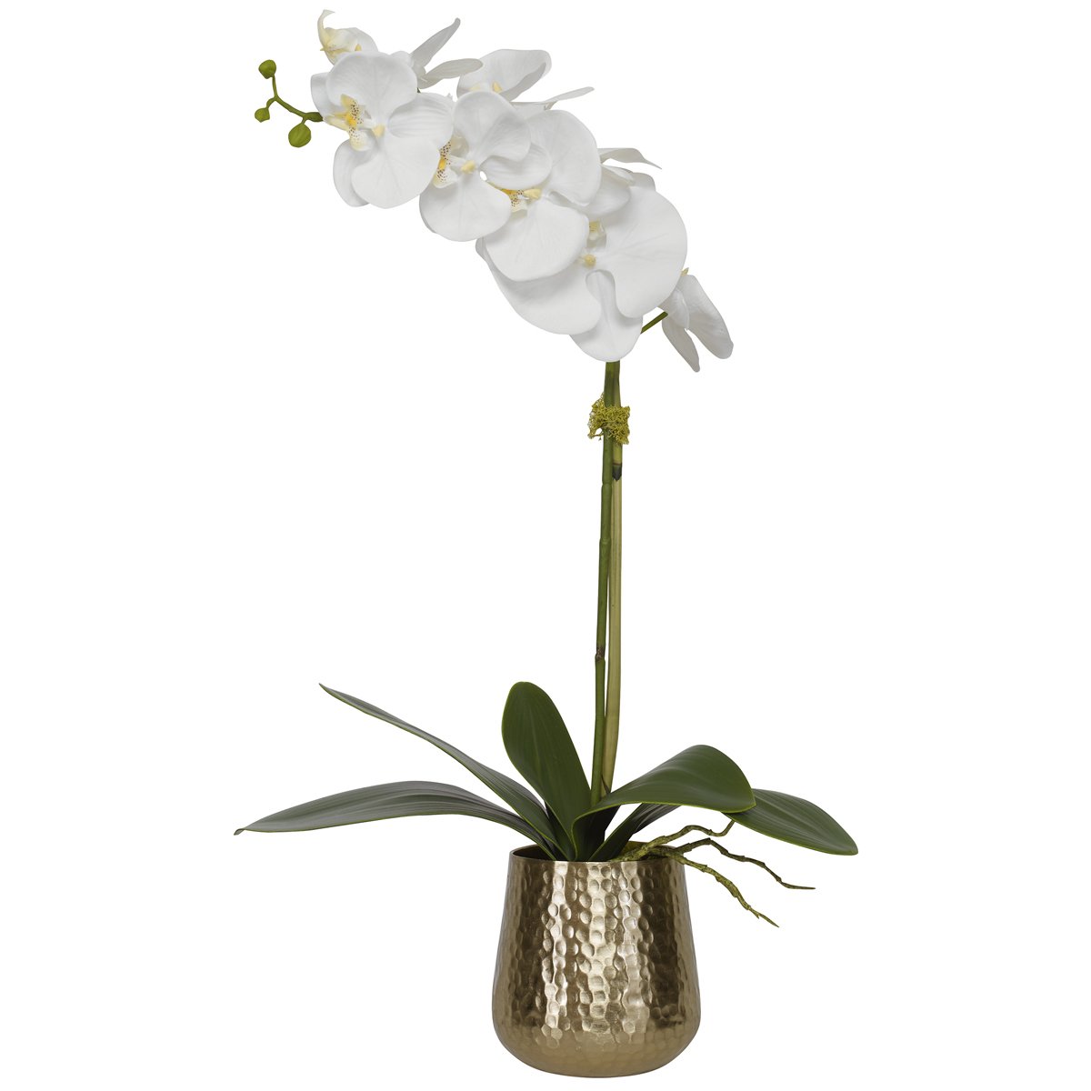 Orchidée Cami Uttermost avec pot en laiton