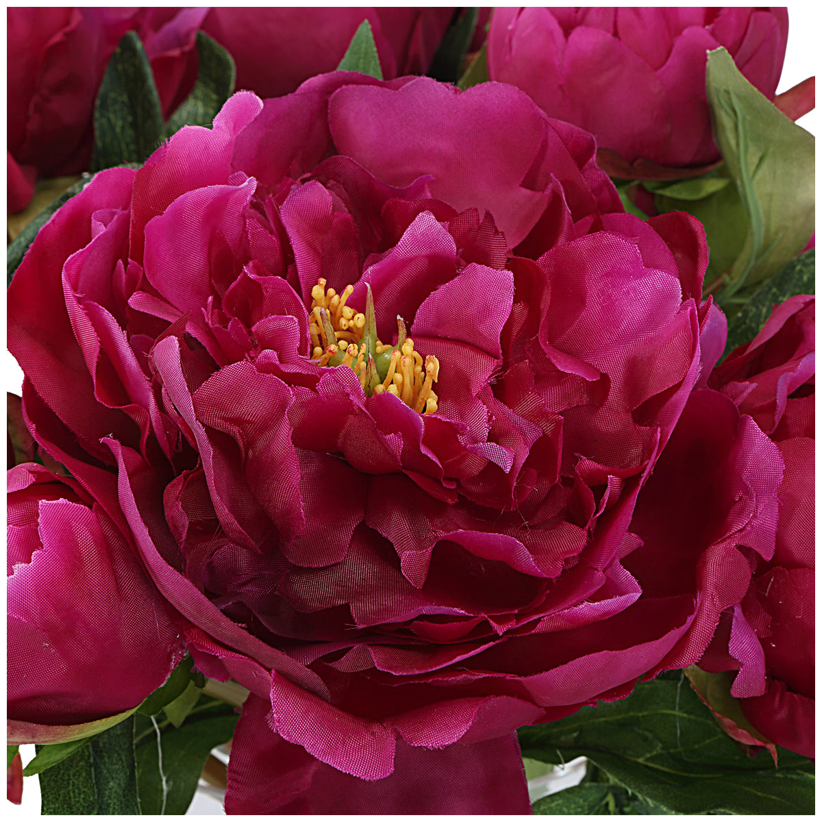 Bouquet de pivoines Prima ultime