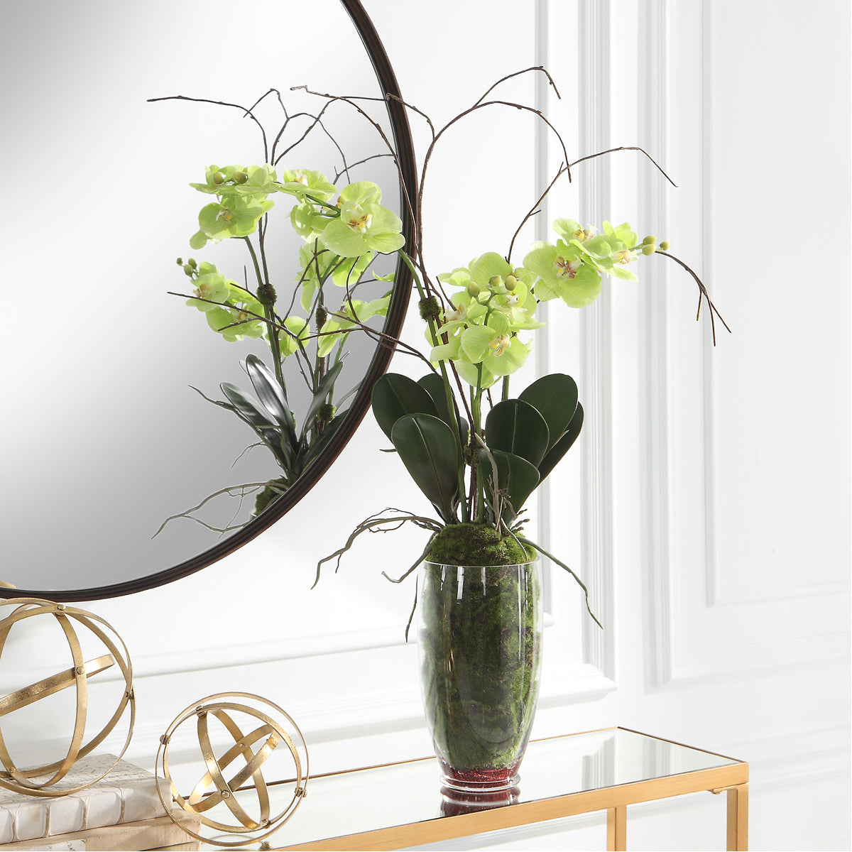 Orchidée Valdive suprême