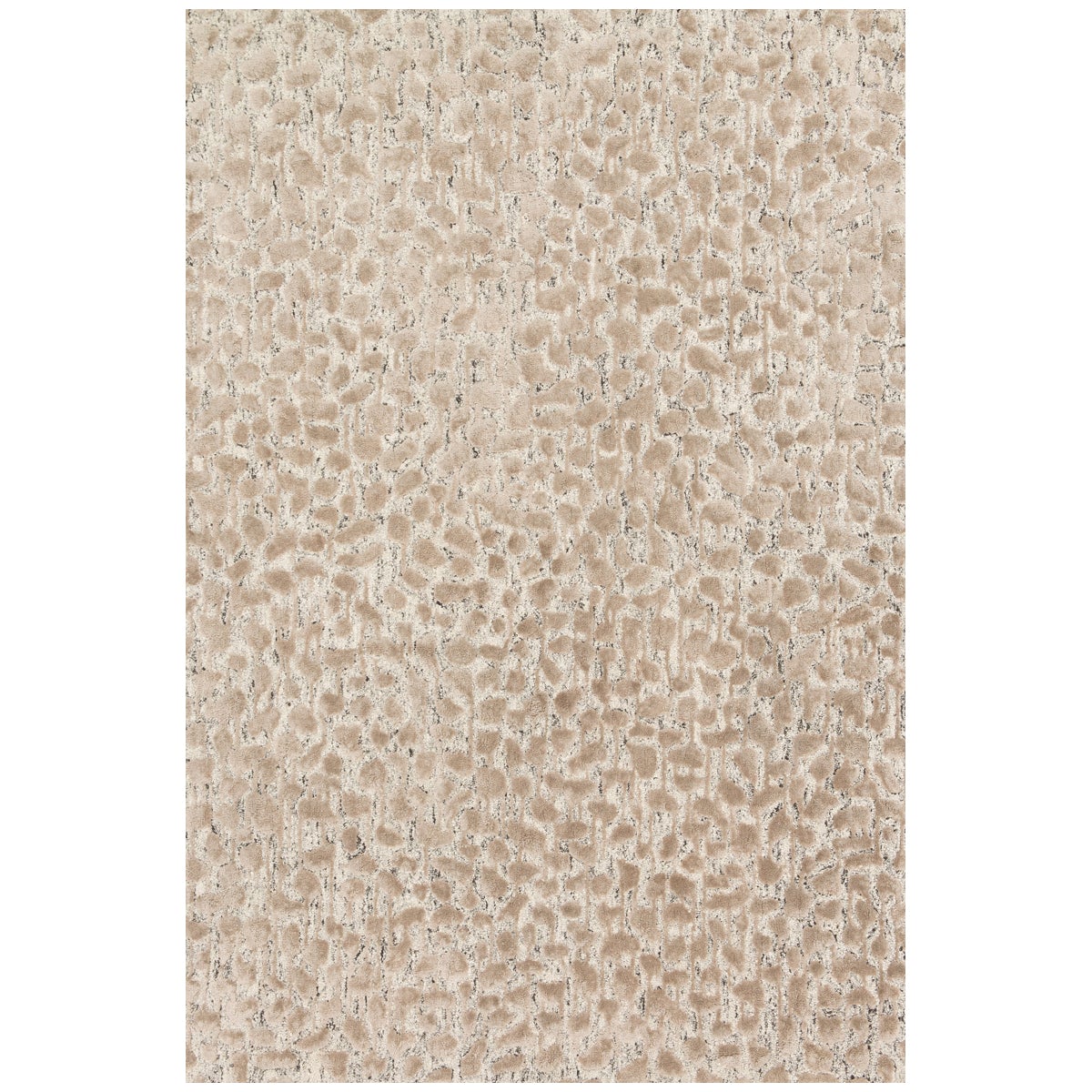 Tapis Loloi Juneau JY-02 Frêne / Taupe