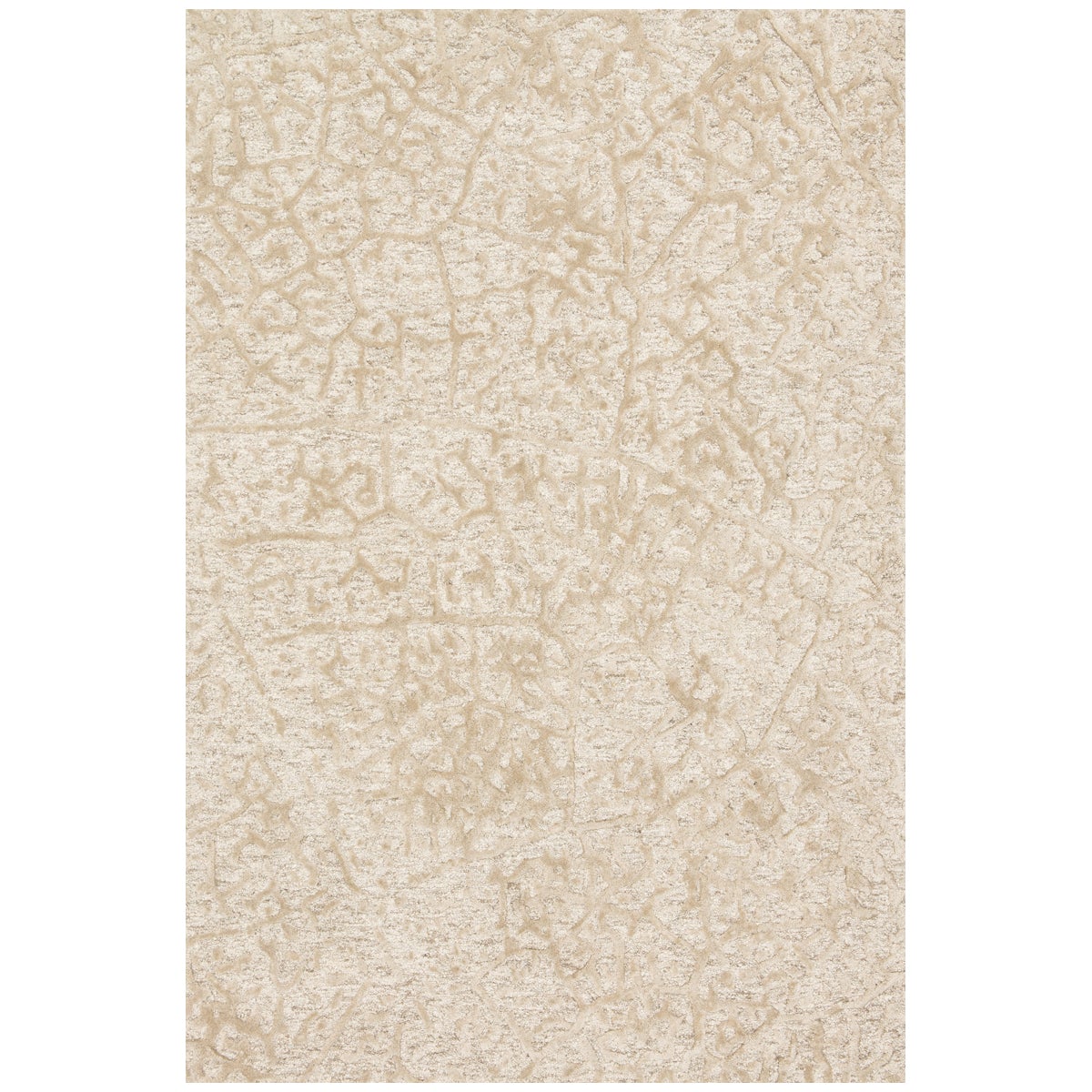 Tapis Loloi Juneau JY-03 Ivoire Antique / Beige