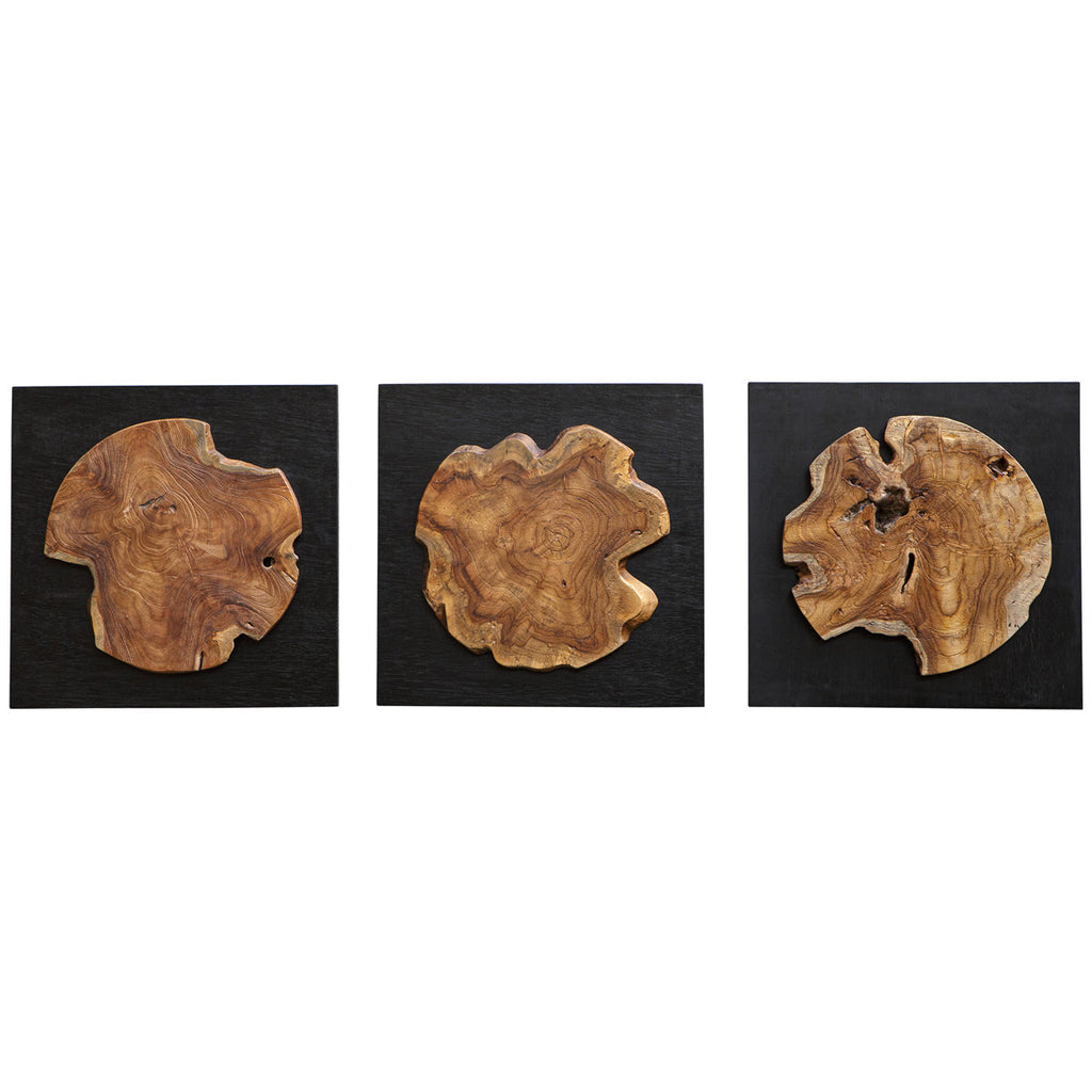 Décoration murale en bois de teck Uttermost Kolini, ensemble de 3 pièces