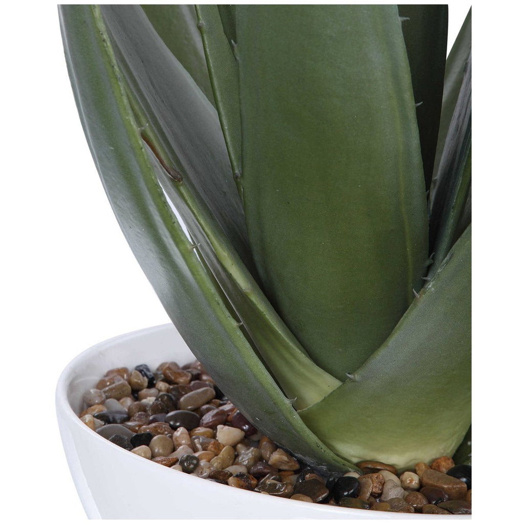Jardinière d'aloès Evarado de la plus haute qualité