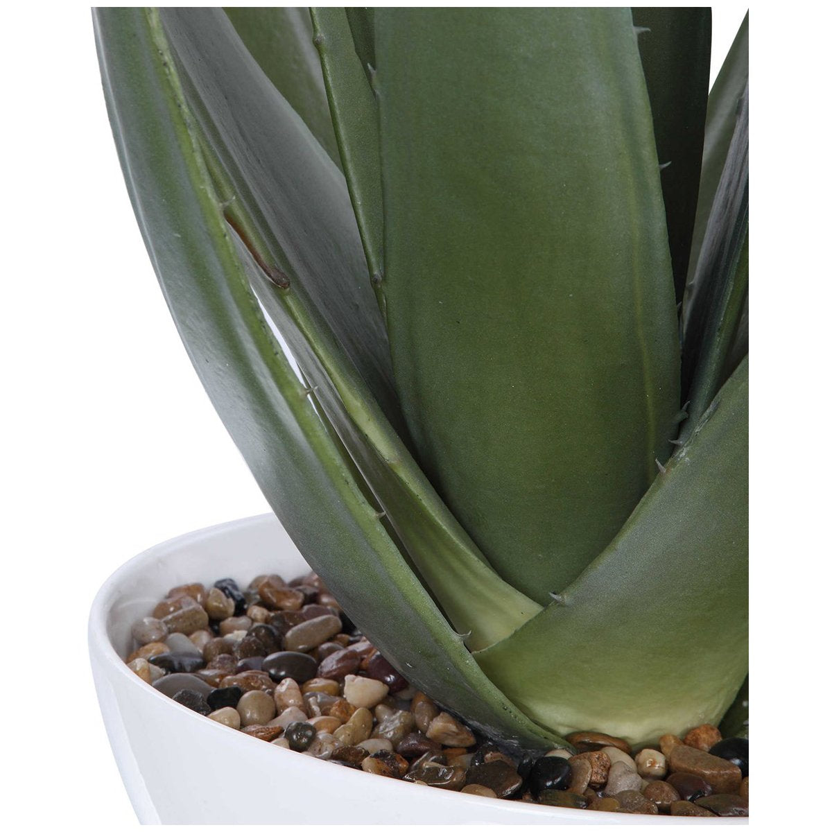 Jardinière d'aloès Evarado de la plus haute qualité