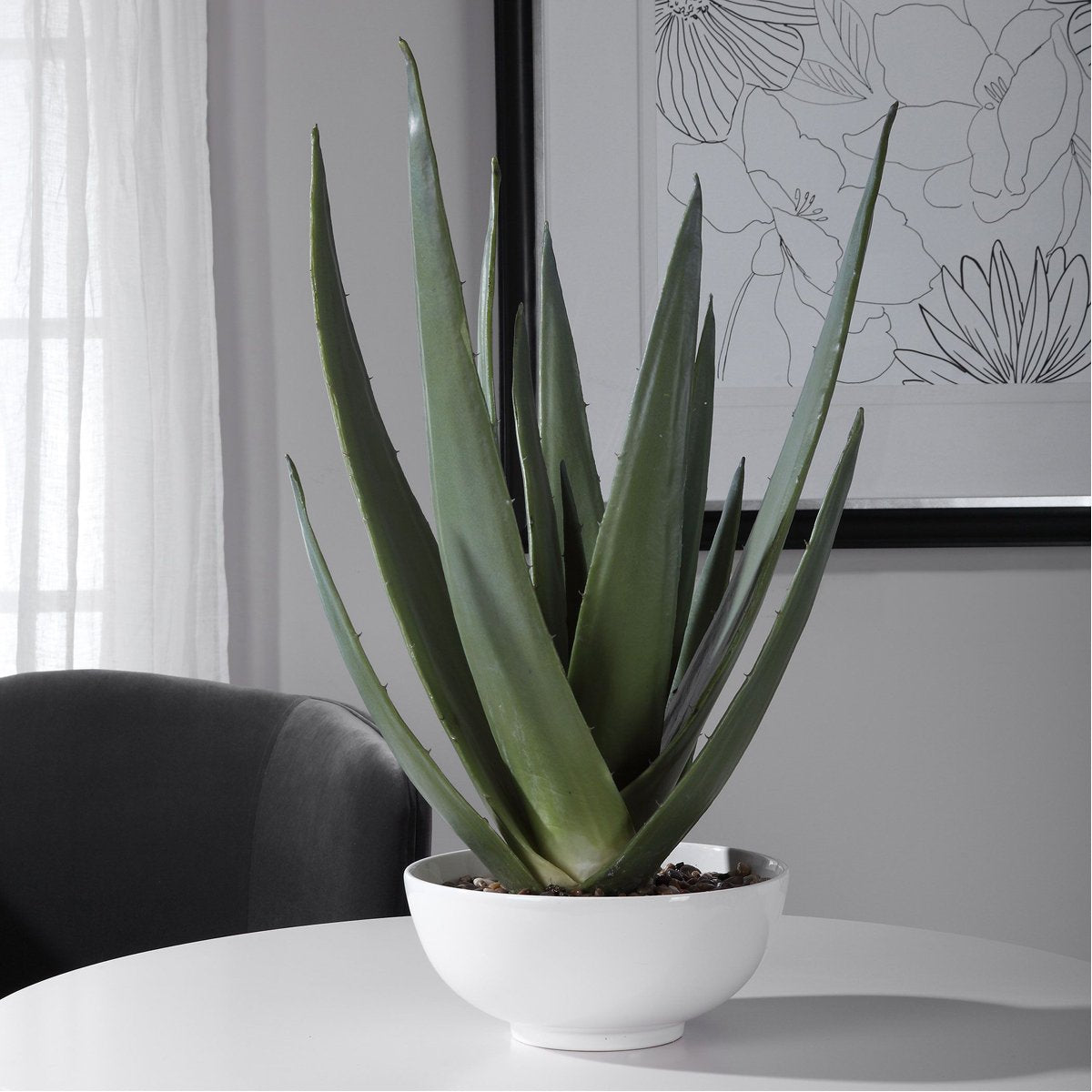 Jardinière d'aloès Evarado de la plus haute qualité